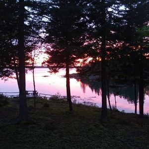 Meet your Posher, Anne